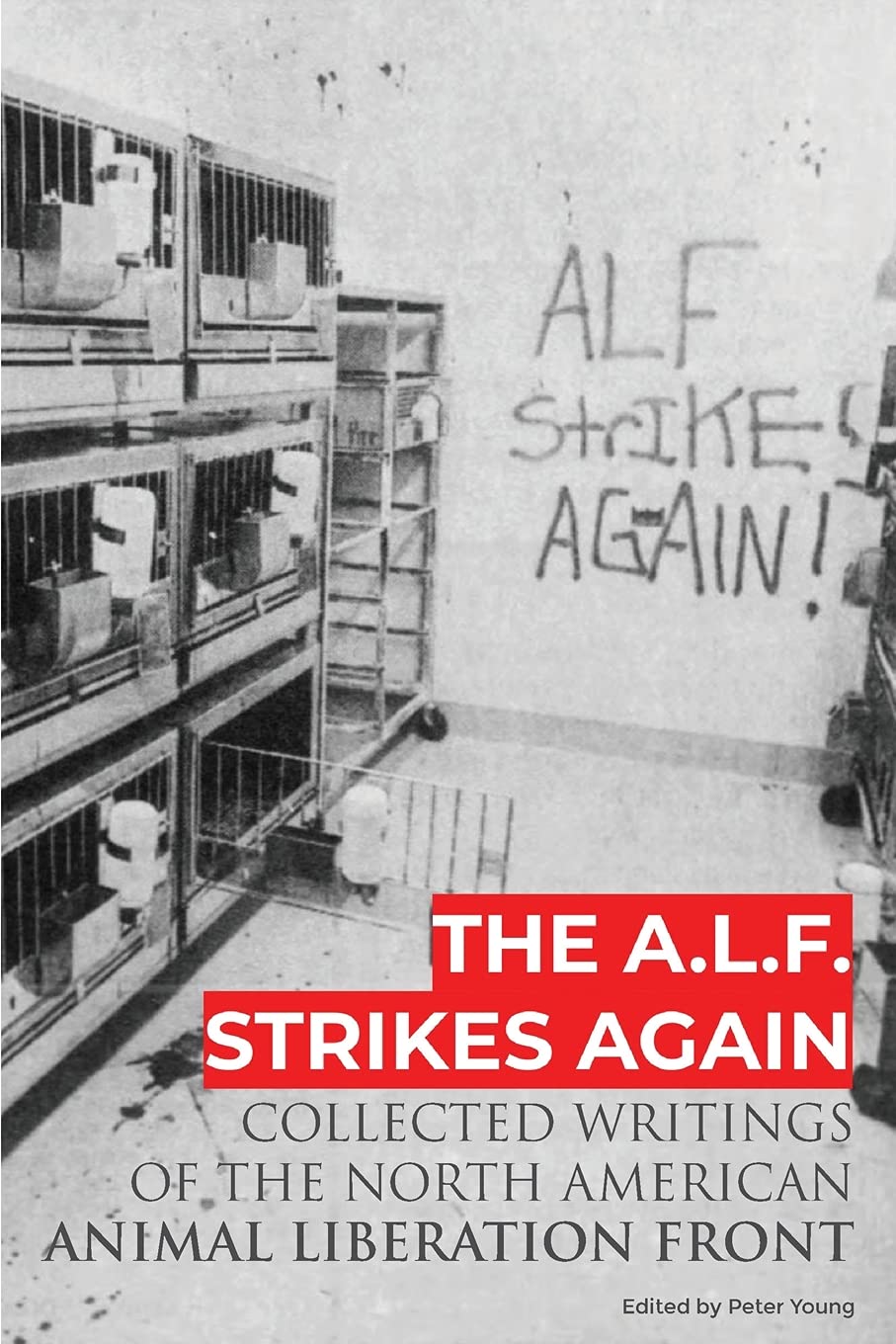 ALF Strikes Again book cover