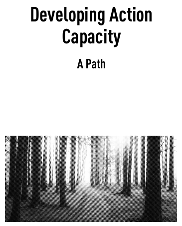Developing Action Capacity cover